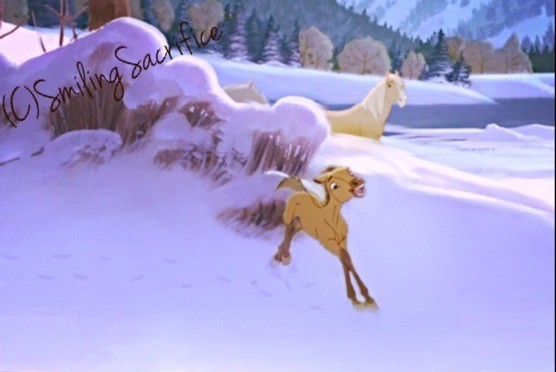 Snow Day!