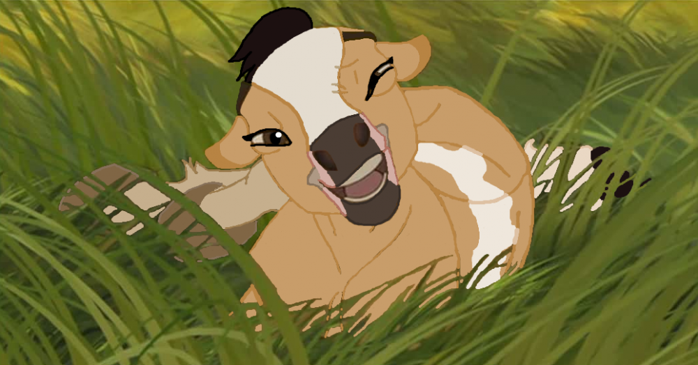 Little Nakotah