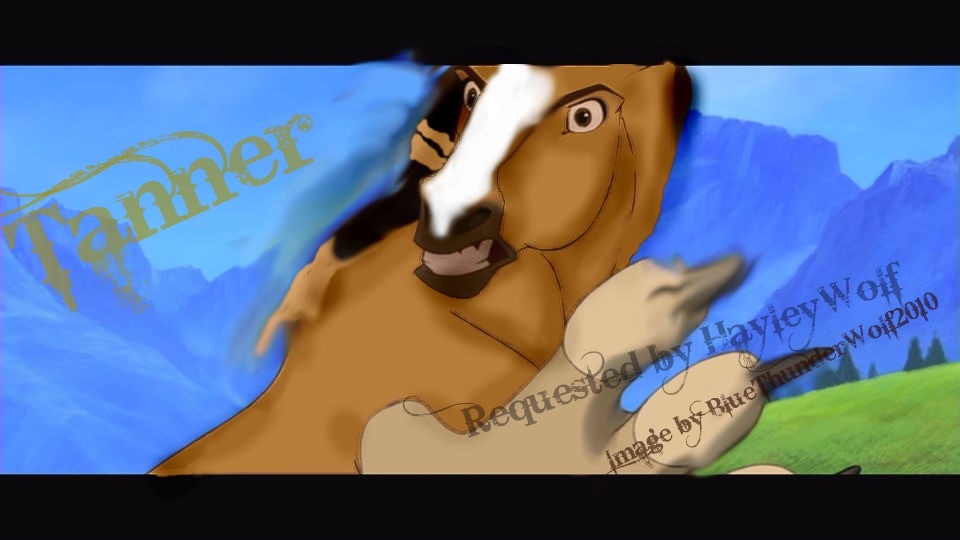 Tanner Request for HayleyWolf