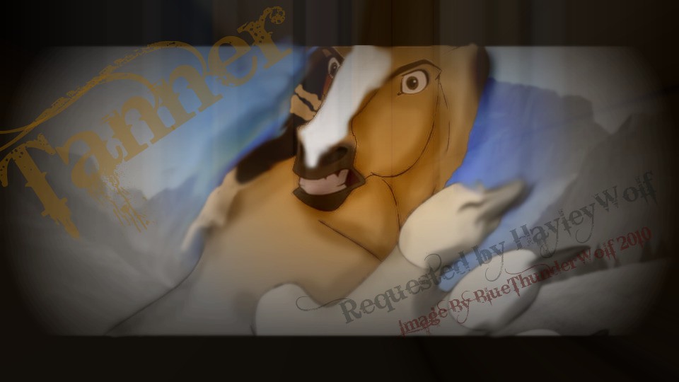 Tanner Request (Edited) for HayleyWolf