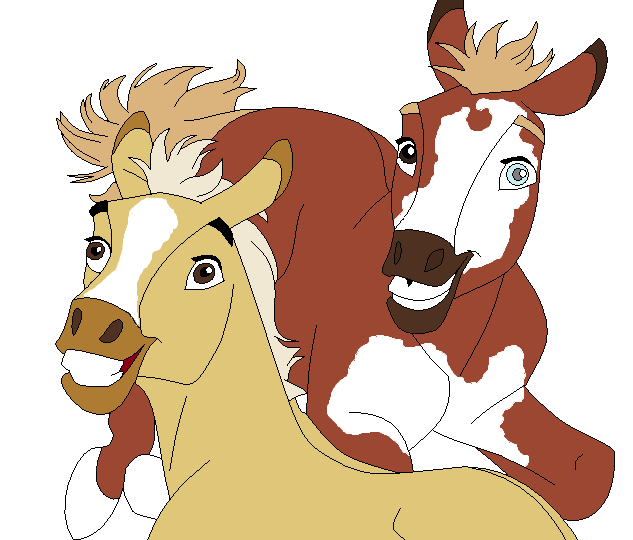 New Foals