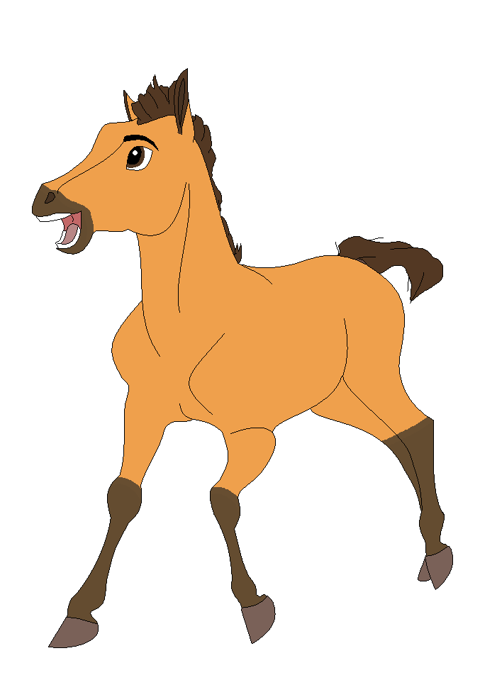 Spirit foal