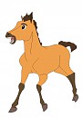 Spirit foal