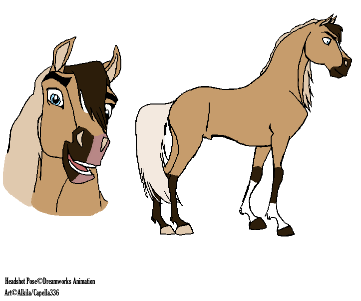 Star's reference sheet