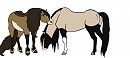 Envy and Ceaser