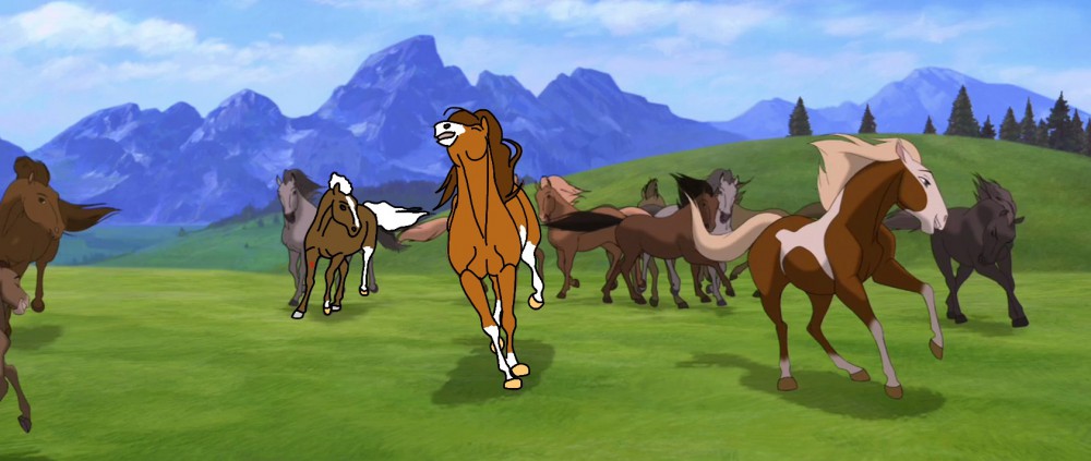 Playing in the herd 