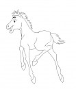 Spirit Foal lineart