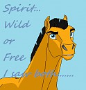 Wild? Free? both.