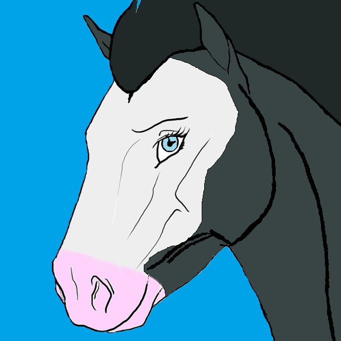 New horse!