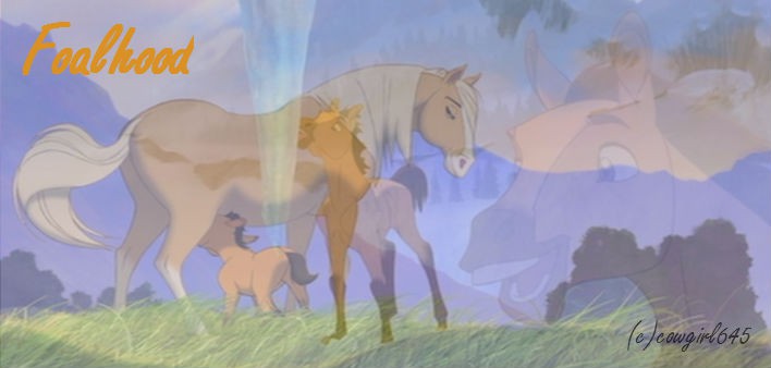 Foalhood