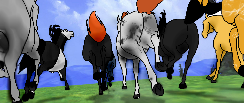 Updated Herd Picture