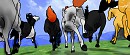 Updated Herd Picture
