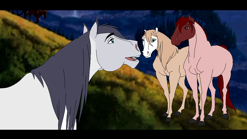 The Faces