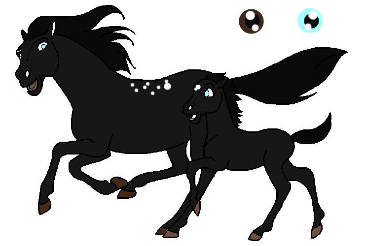 Dark Night Foal Adoptable 2