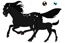 Dark Night Foal Adoptable 2