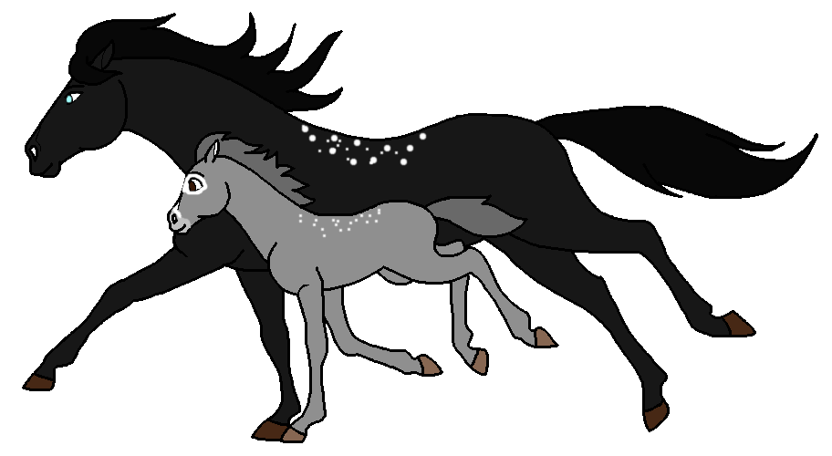 Dark Night Foal Adoptable