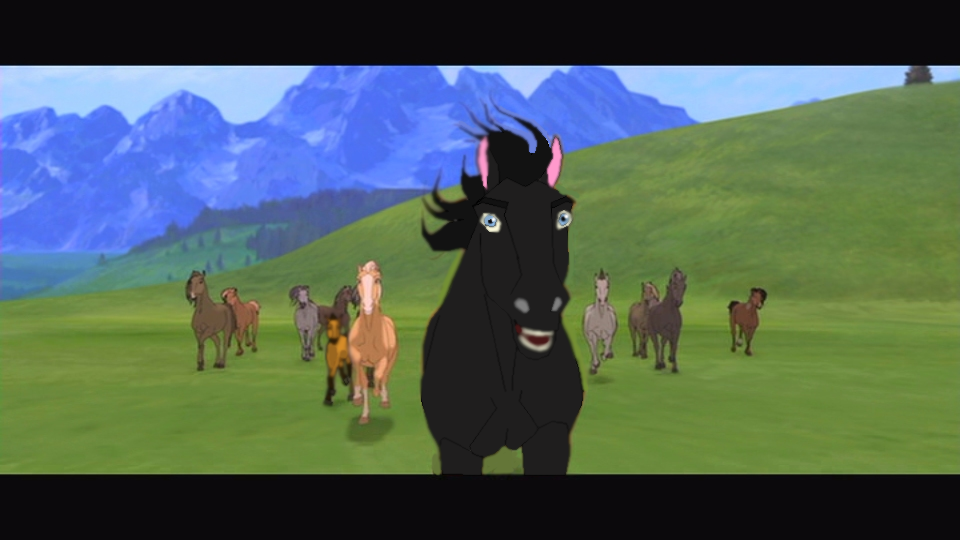 Herd