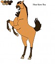 Base Ref Stallion/ Mare