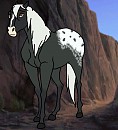 GallopGirl's Request C: