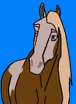 Stallion Rain