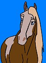 Stallion Rain