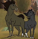 The Lakota Tribe Mates