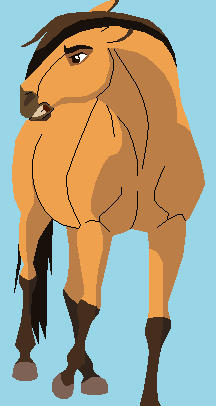 Spirit Color Ref