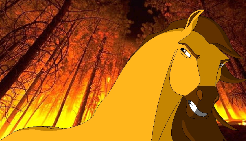 The Fire