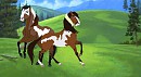 The Pinto Buddies