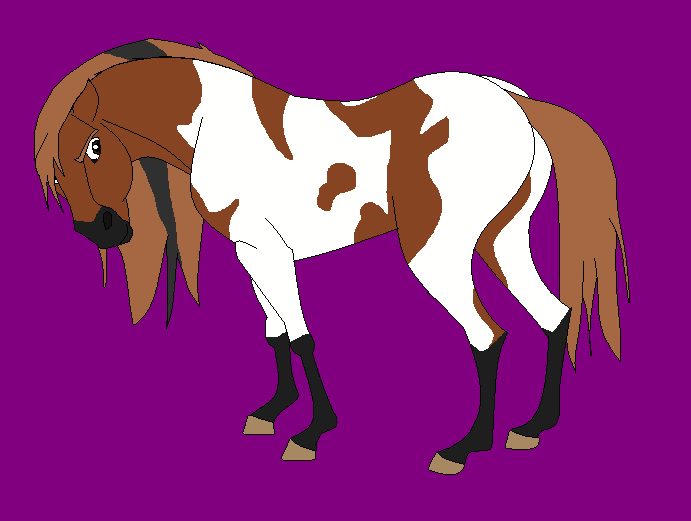 SweetDakotah's Design Request