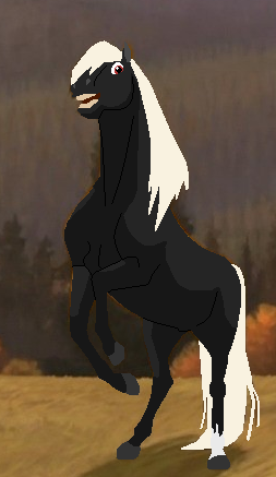 Seeking Mares