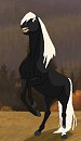 Seeking Mares