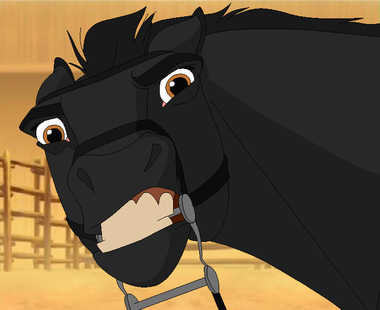 A Cavalry Stallion