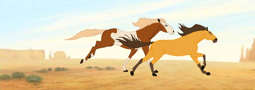 Spirit and Rain Banner
