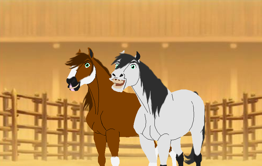 My Cavalry Boys