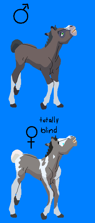 Upcoming Chars