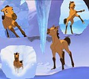 Spirit Loves Winter!