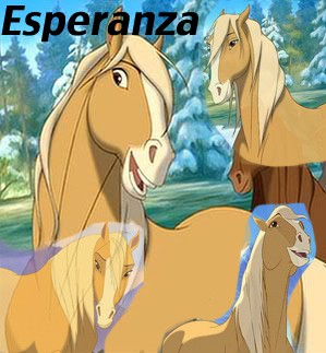 Esperanza Collage