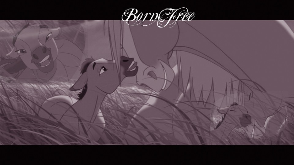 Born Free