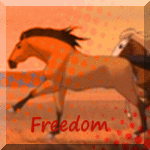 Freedom