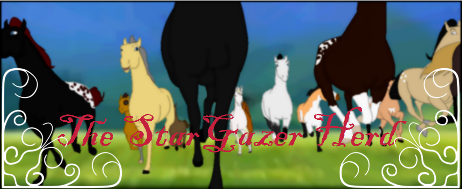 The Herd