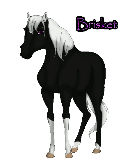 Gift - Brisket