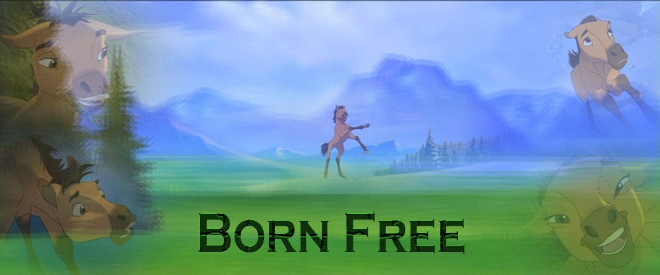 Born Free