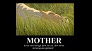 Happy Mother's Day!