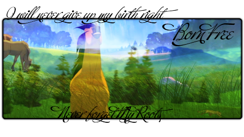 Spirit Signature: Born Free