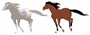 Adoptable Mares