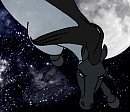 Star Chaser
