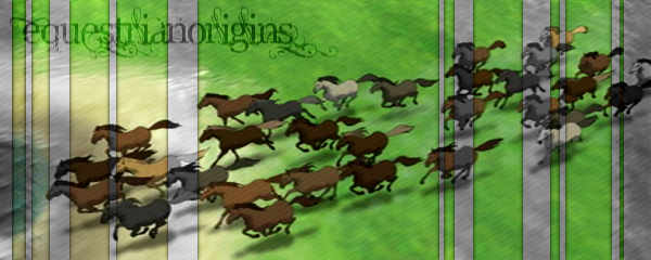 The Herd