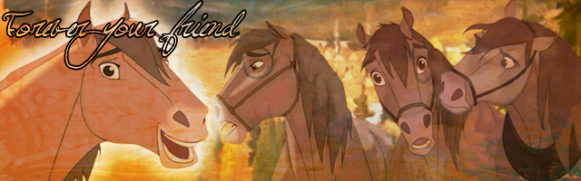 Signature cheval indien