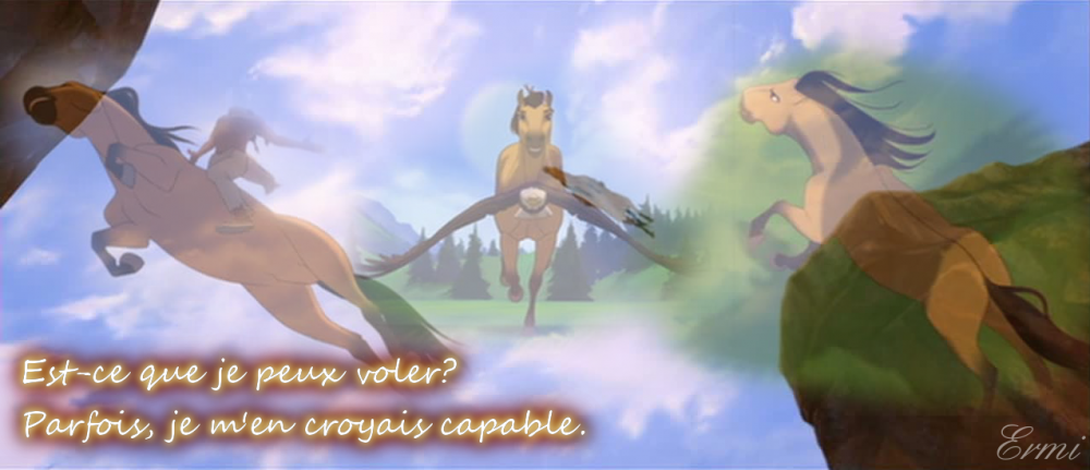 Est-ce que je peux voler? 